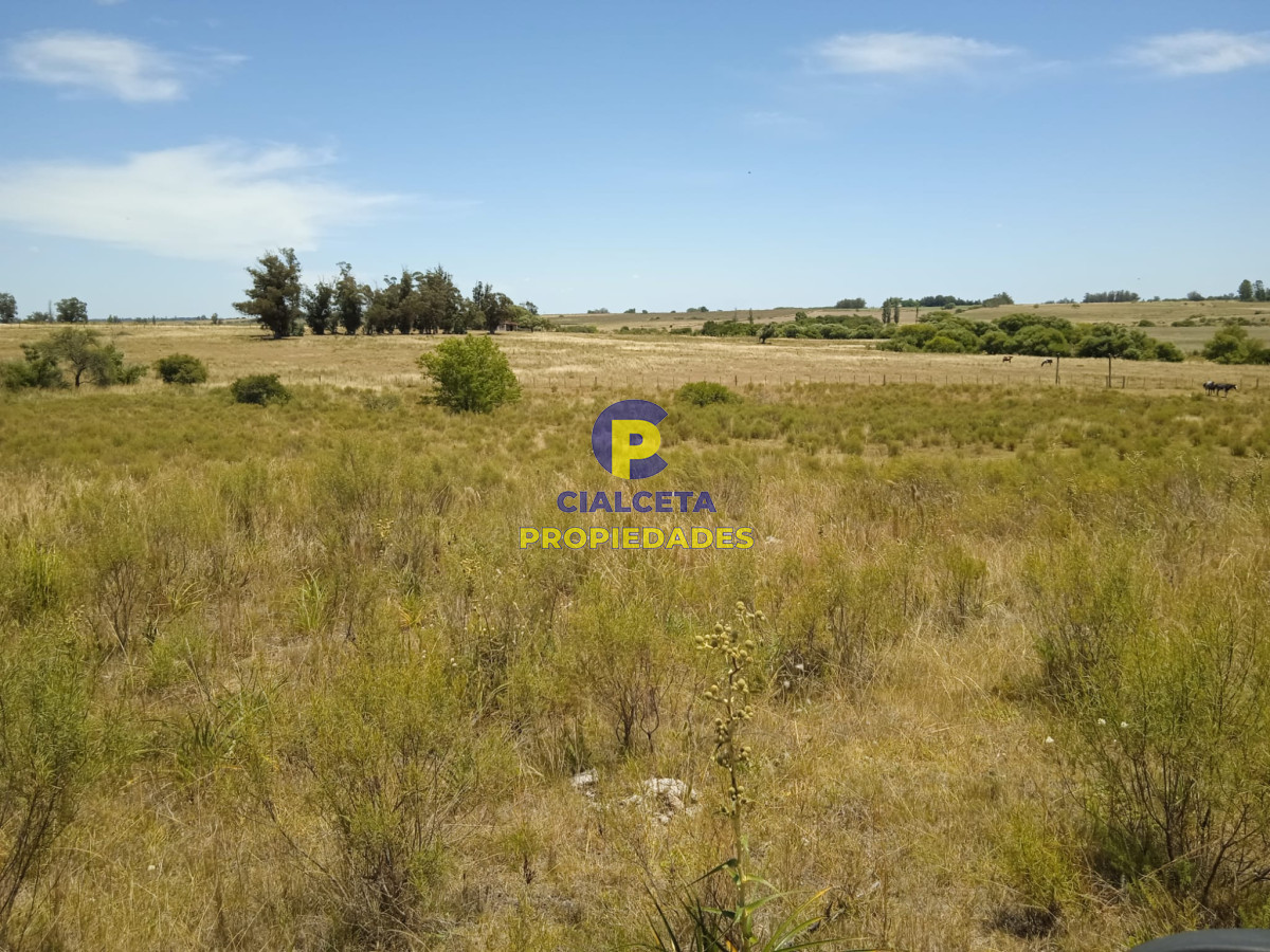 Campo Ref.273 - 23 hectáreas en Lavalleja con arroyo