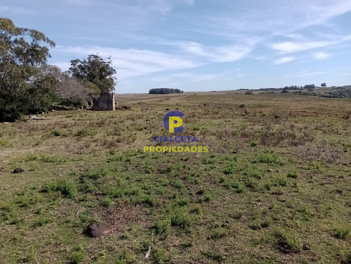 Campo Ref.381 - 315 hectáreas en Rocha