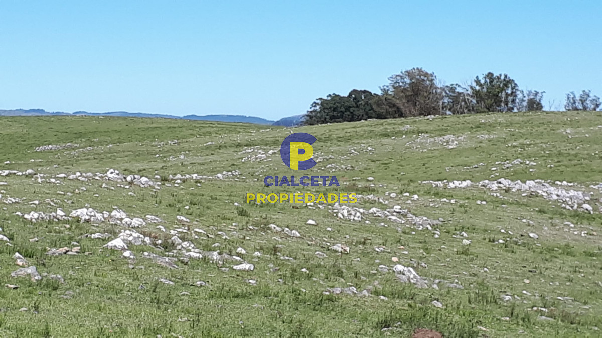 Campo Ref.323 - 115 hectáreas en Lavalleja