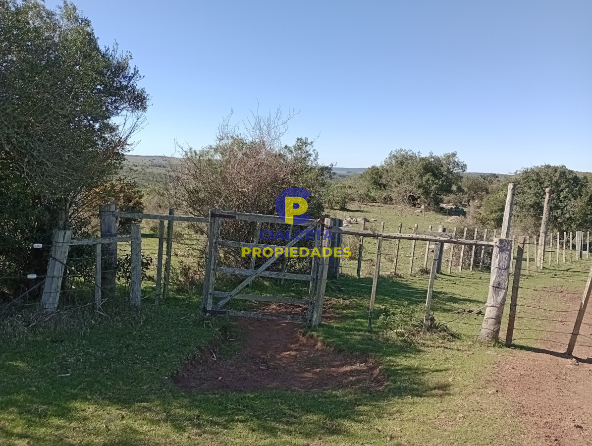 Campo Ref.135 - 2957 hectáreas en Cerro Largo
