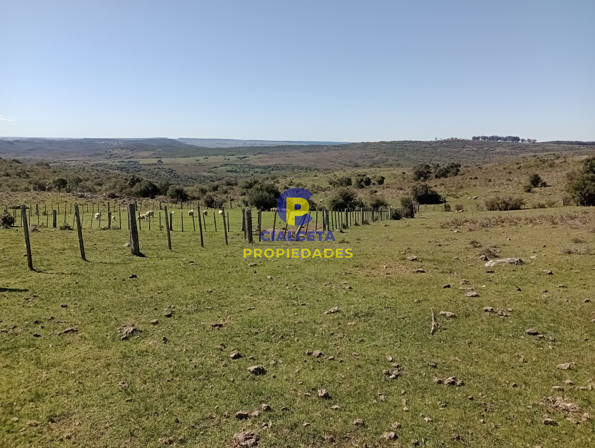 Campo Ref.136 - 811 hectáreas en Treinta y Tres