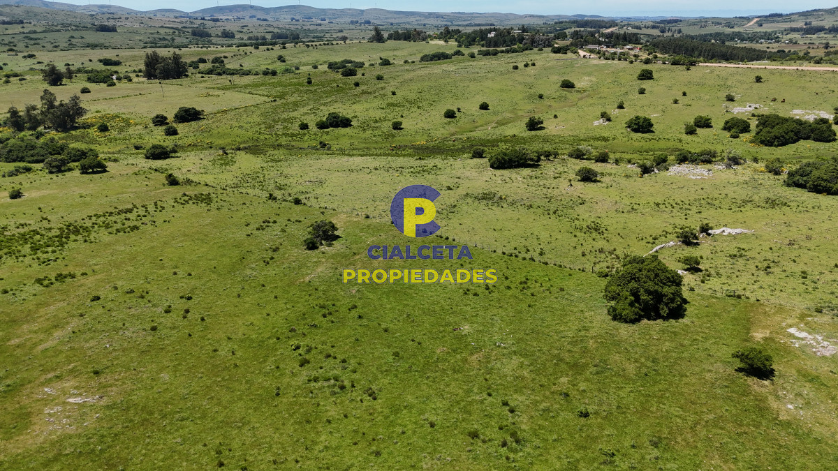 109 hectáreas en Maldonado - GoPunta - Portal Inmobiliario de Punta del Este - Maldonado
