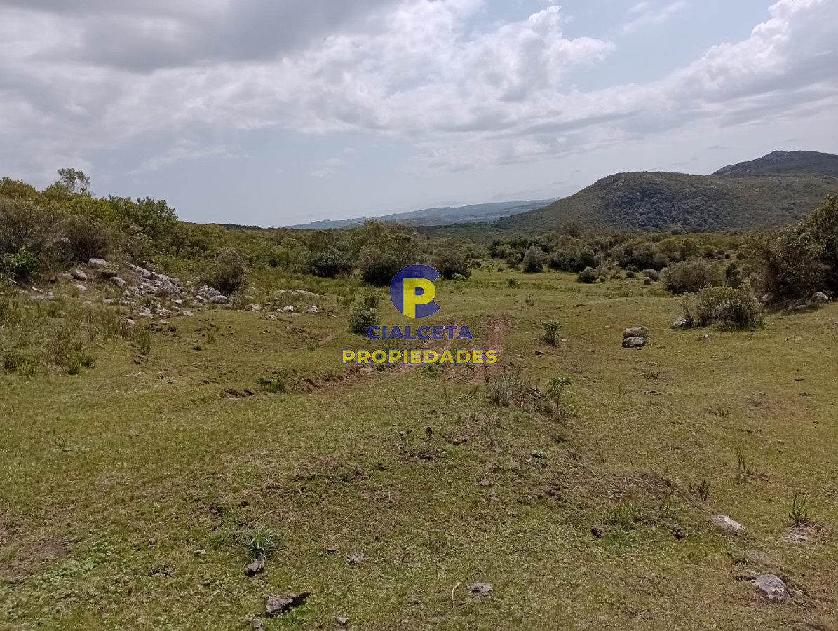 Campo Ref.317 - 55 hectáreas en Maldonado