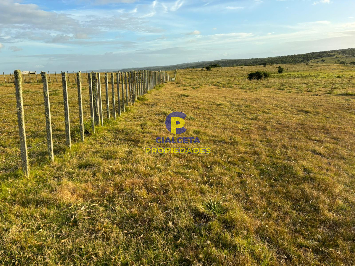 Campo Ref.399 - 121 hectáreas en Rocha