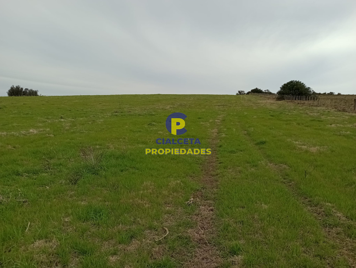 Campo Ref.293 - 15 hectáreas en Maldonado