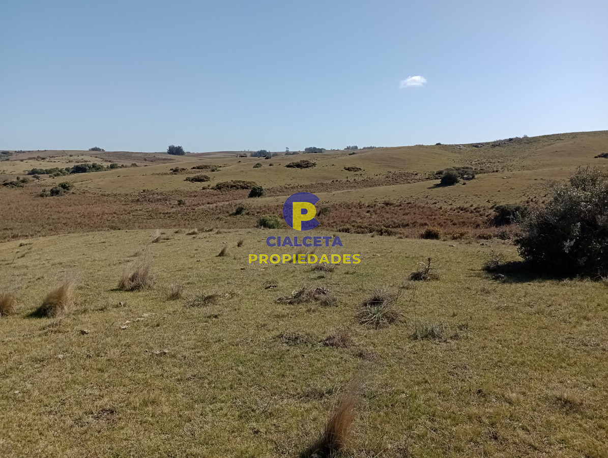 Campo Ref.98 - 125 hectáreas en Rocha