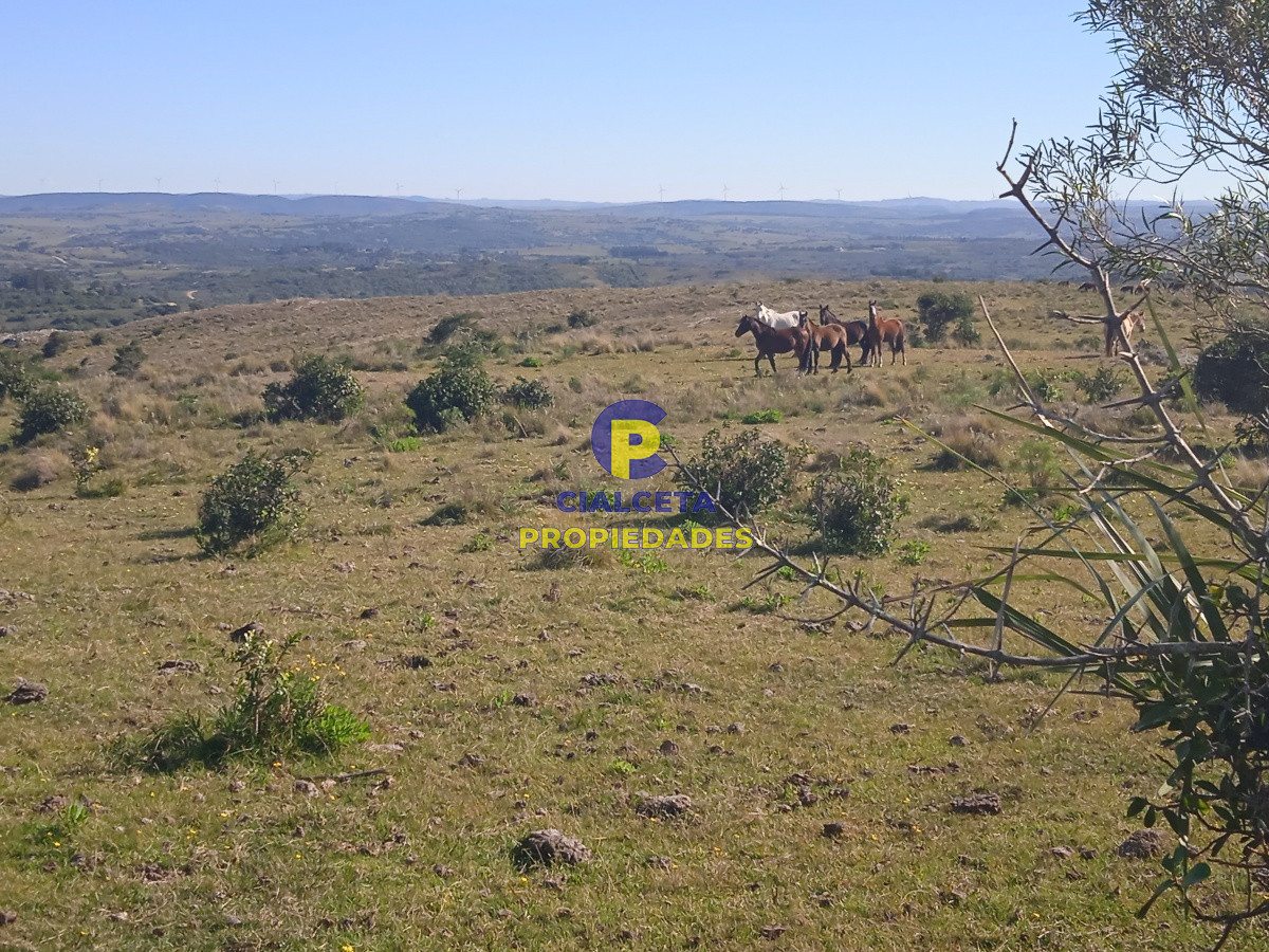 Campo Ref.203 - 5 hectáreas en las Cañas