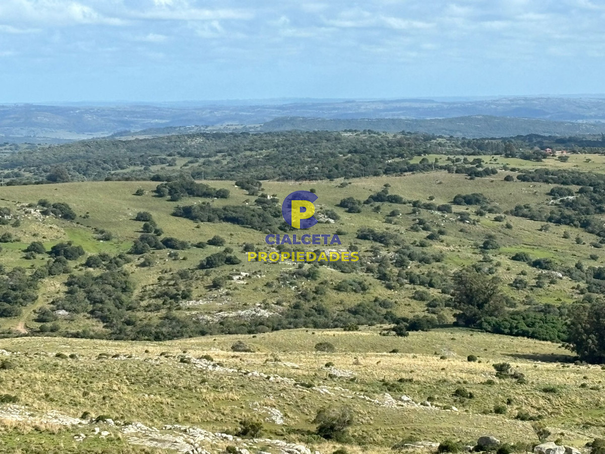 96 hectáreas en Maldonado, excelentes vistas - GoPunta - Portal Inmobiliario de Punta del Este - Maldonado