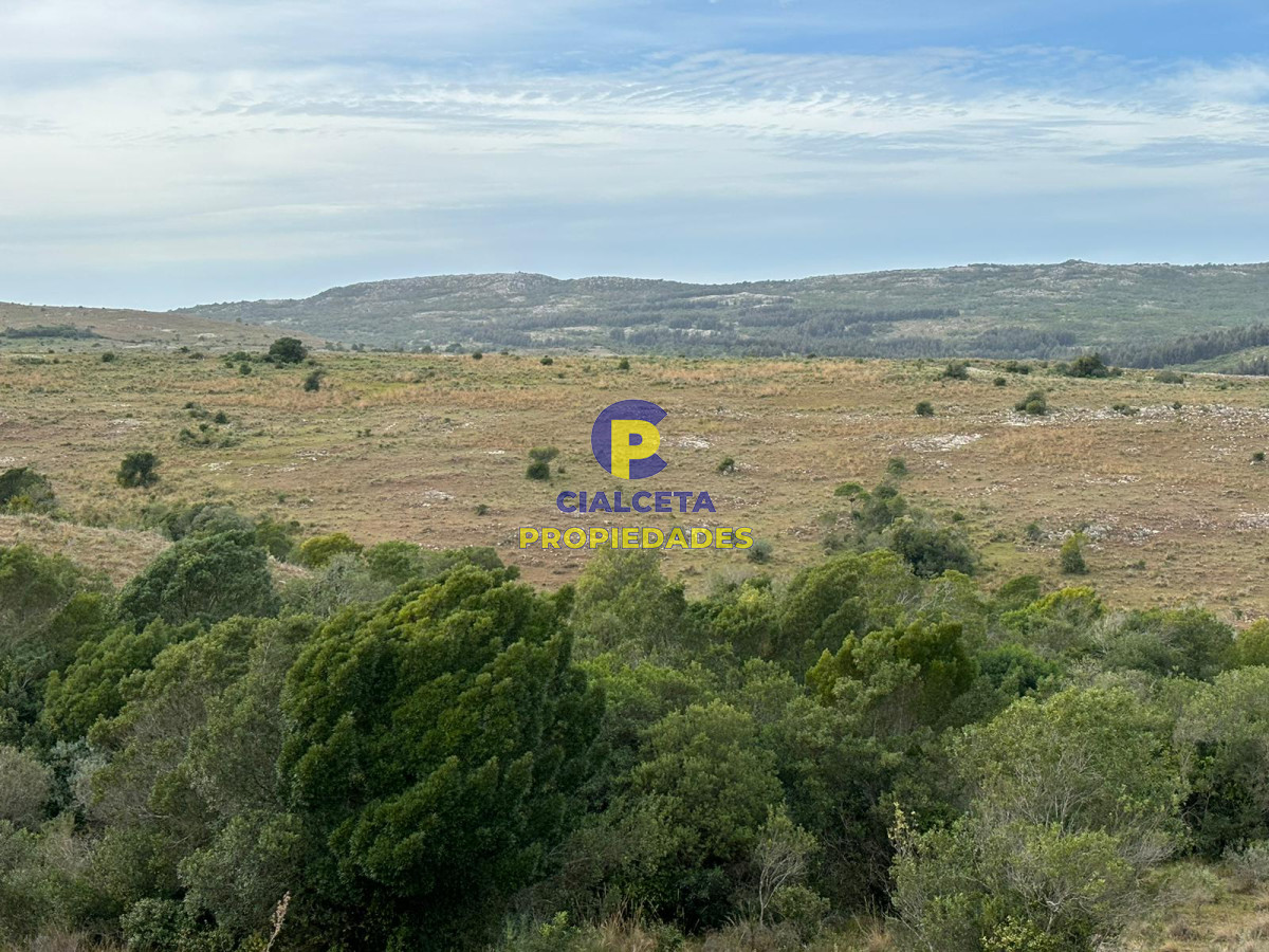 200 hectáreas con muy buena vista - GoPunta - Portal Inmobiliario de Punta del Este - Maldonado