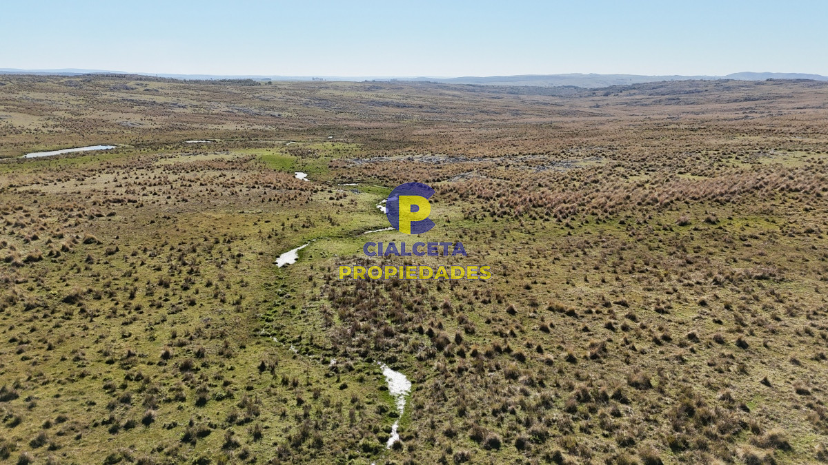 Campo Ref.494 - 140 hectáreas a 3.000 dólares la hectárea