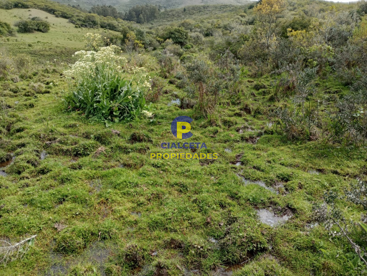 Campo Ref.317 - 55 hectáreas en Maldonado