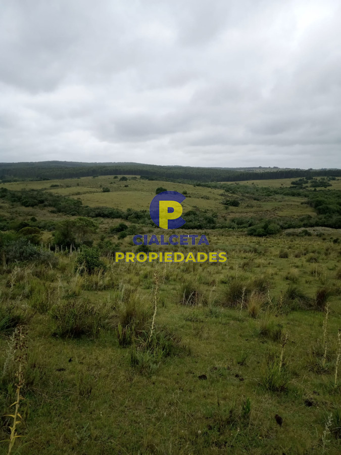 Campo Ref.452 - 108 hectáreas a 12 km de Garzón