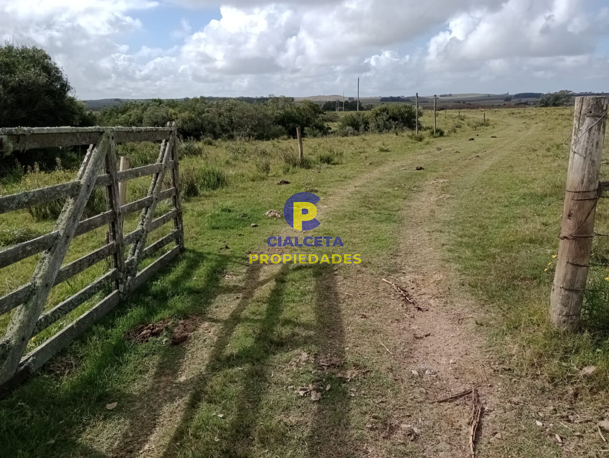 Campo Ref.186 - 30 hectáreas en Garzón