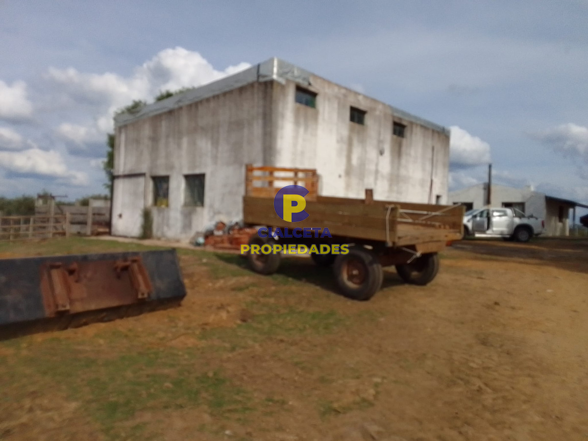 Campo Ref.139 - 3 hectáreas con olivos