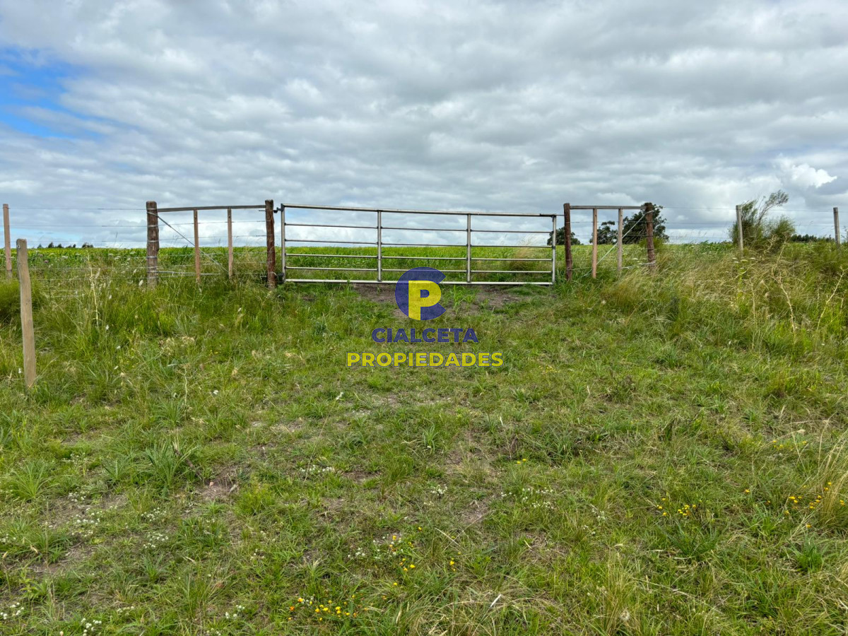 Campo Ref.405 - 59 hectáreas en Canelones