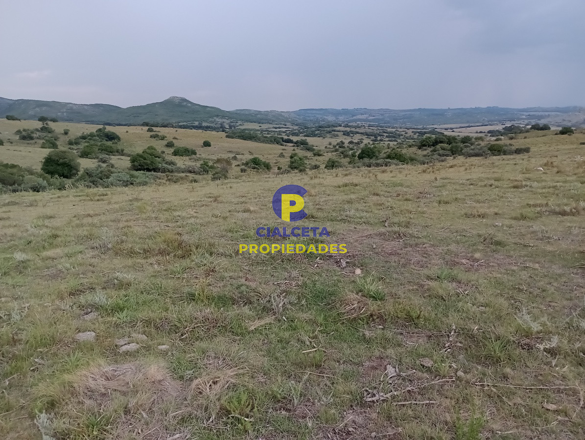Campo Ref.183 - Chacras de 5 hectáreas
