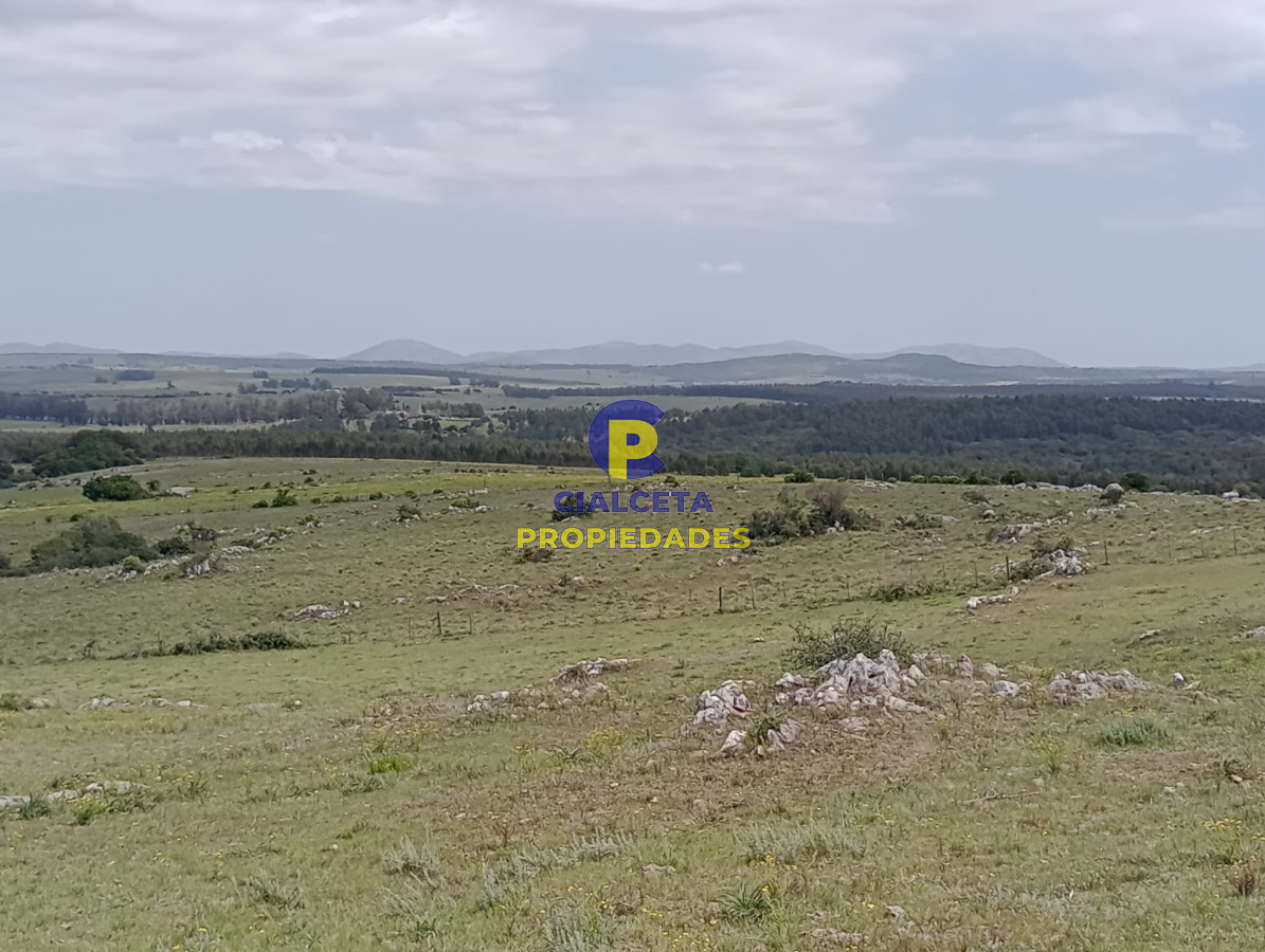 Campo Ref.316 - 32 hectáreas en Maldonado