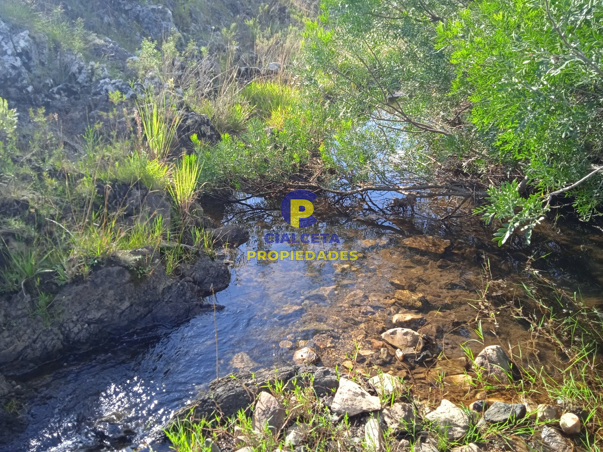 Campo Ref.74 - Propiedad única a la venta