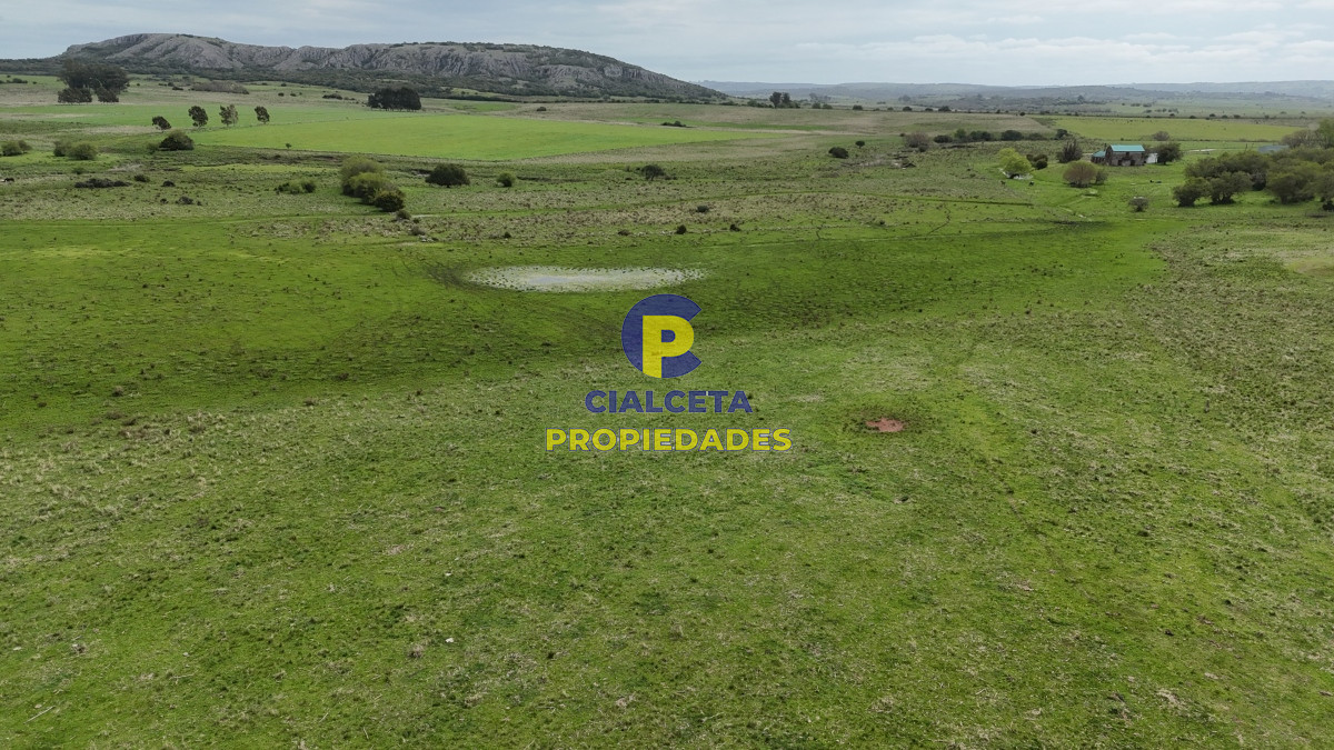 Campo Ref.538 - 68 hectáreas y media en Valle Fuentes con 200 de coneat