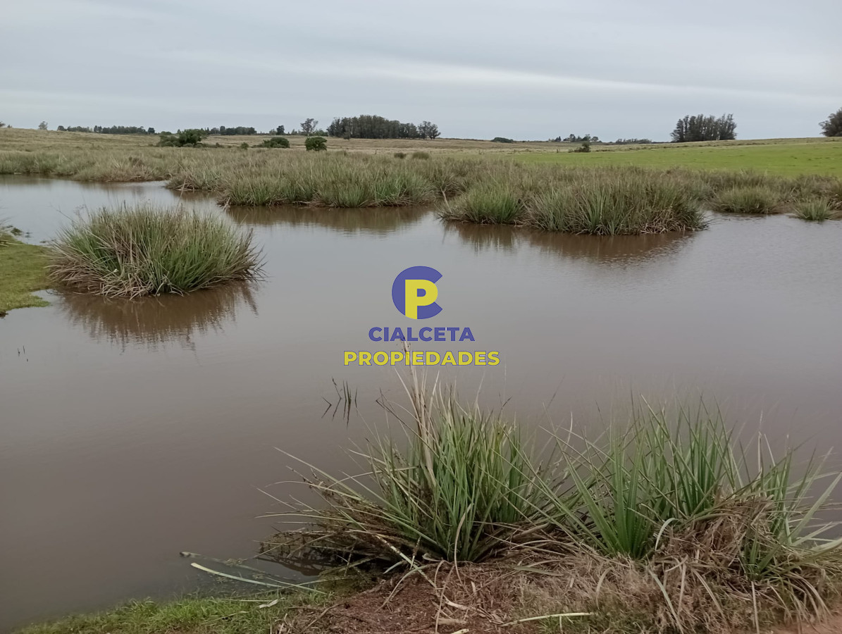 Campo Ref.293 - 15 hectáreas en Maldonado