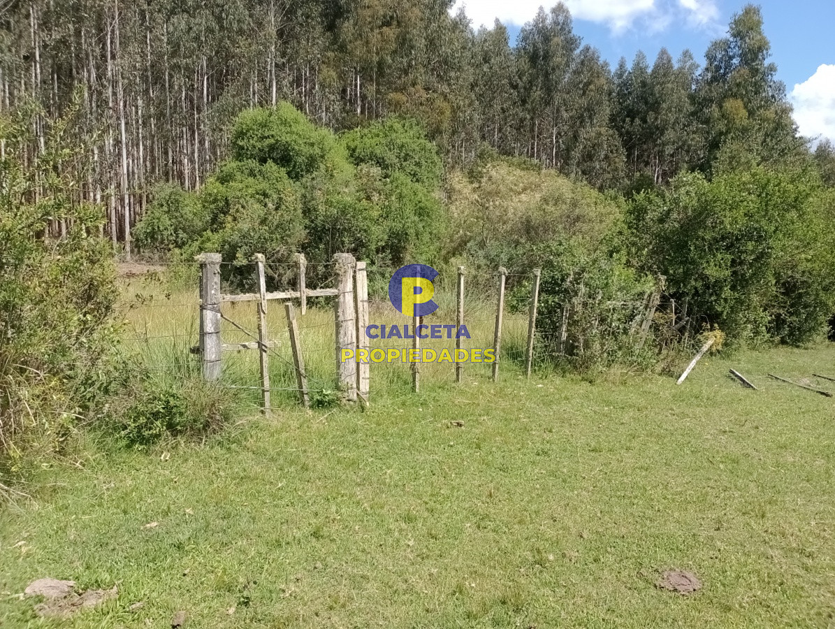 Campo Ref.102 - 98 hectáreas en Maldonado