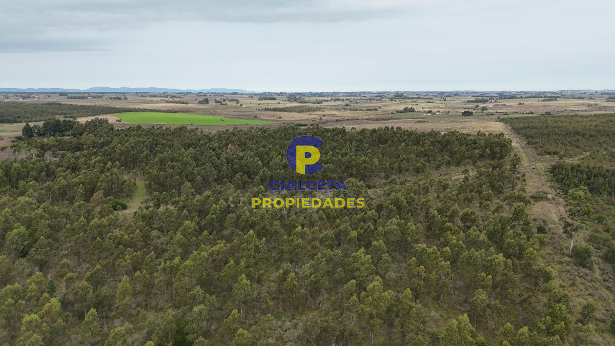Campo Ref.449 - 39 hectáreas y media en Canelones