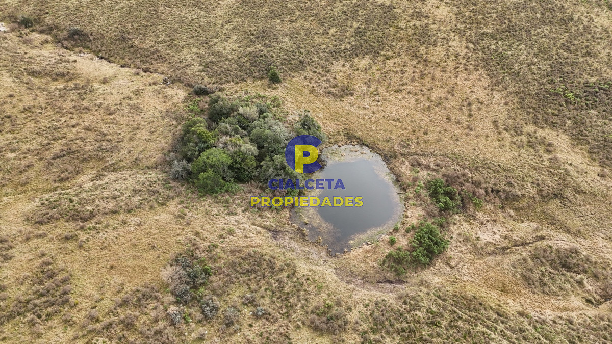 Campo Ref.502 - 86 hectáreas en Maldonado, con aguada, monte y cerro
