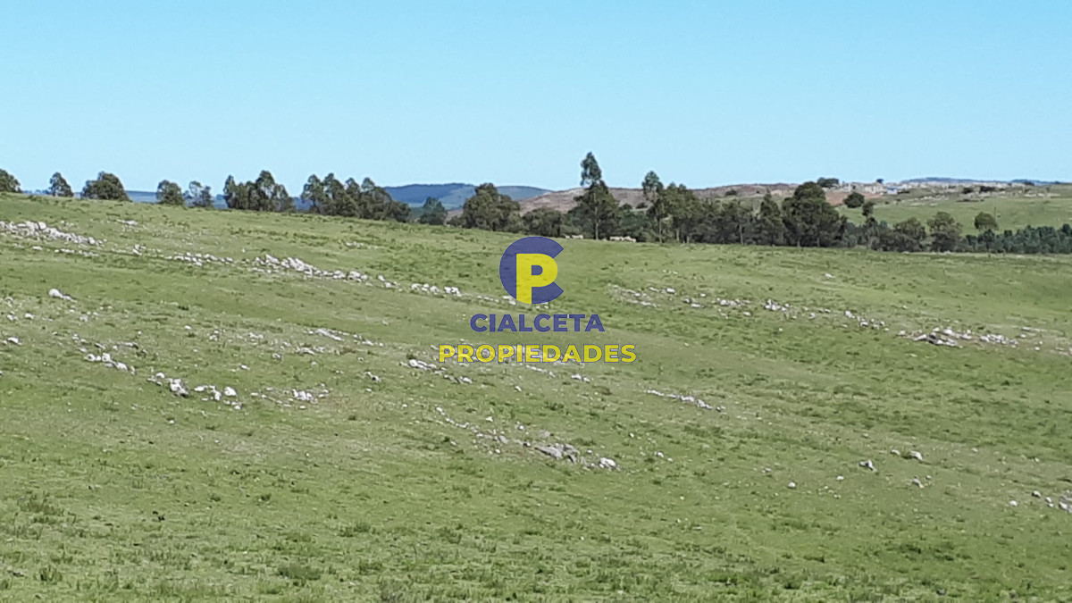 Campo Ref.323 - 115 hectáreas en Lavalleja
