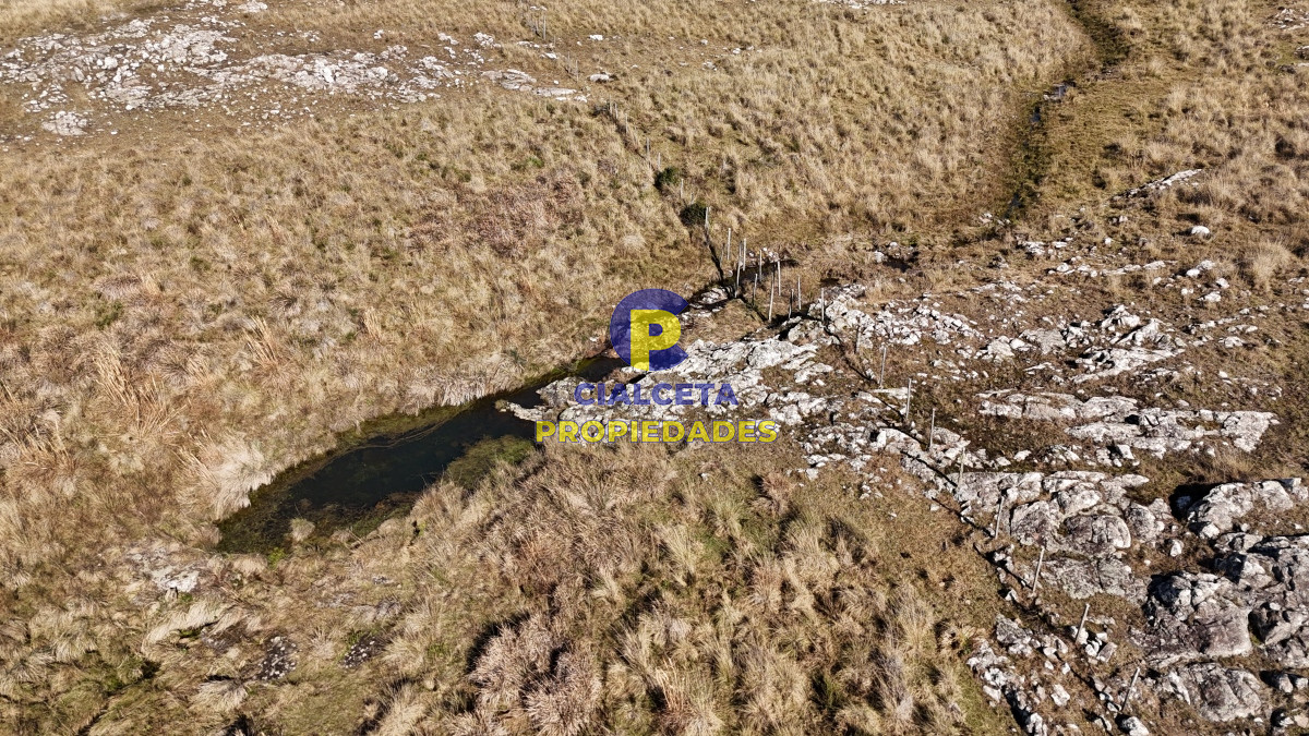 Campo Ref.494 - 140 hectáreas a 3.000 dólares la hectárea