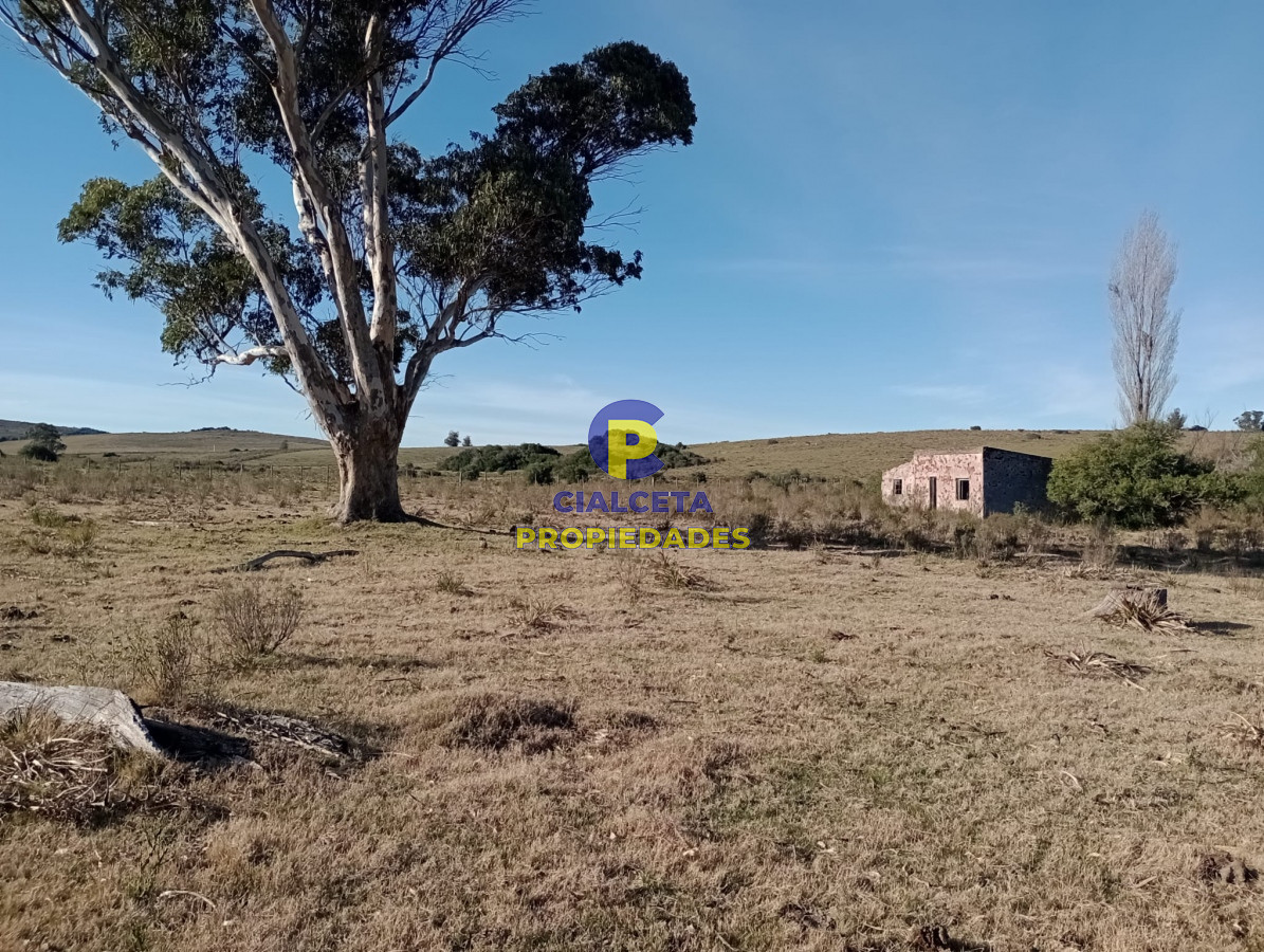 82 hectáreas en Pueblo Edén - GoPunta - Portal Inmobiliario de Punta del Este - Maldonado