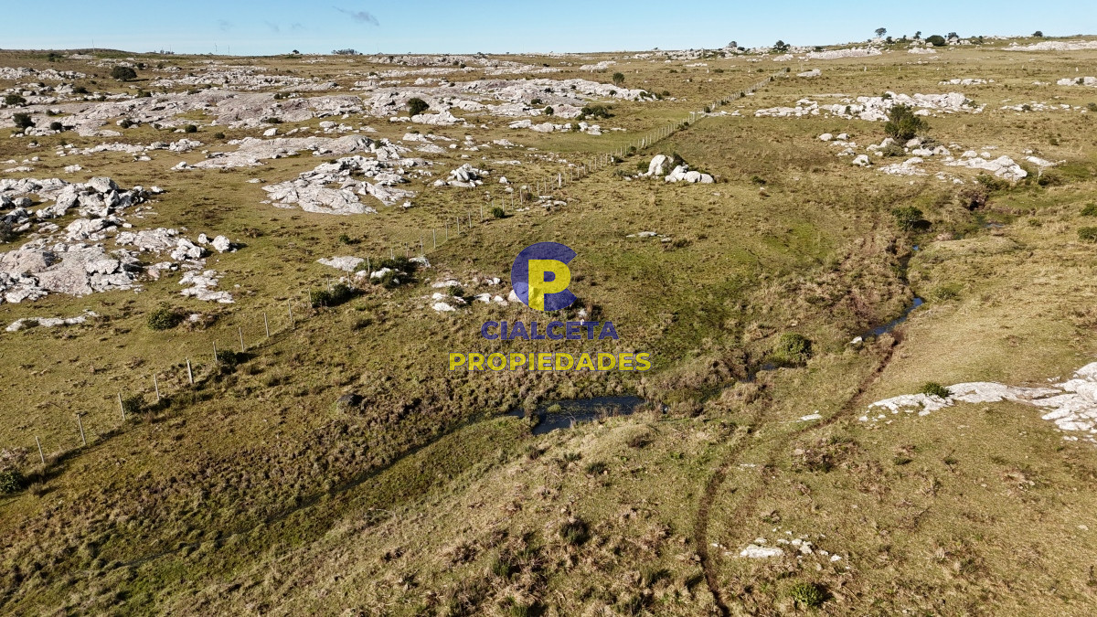 24 hectáreas con aguada natural en Lavalleja - GoPunta - Portal Inmobiliario de Punta del Este - Maldonado