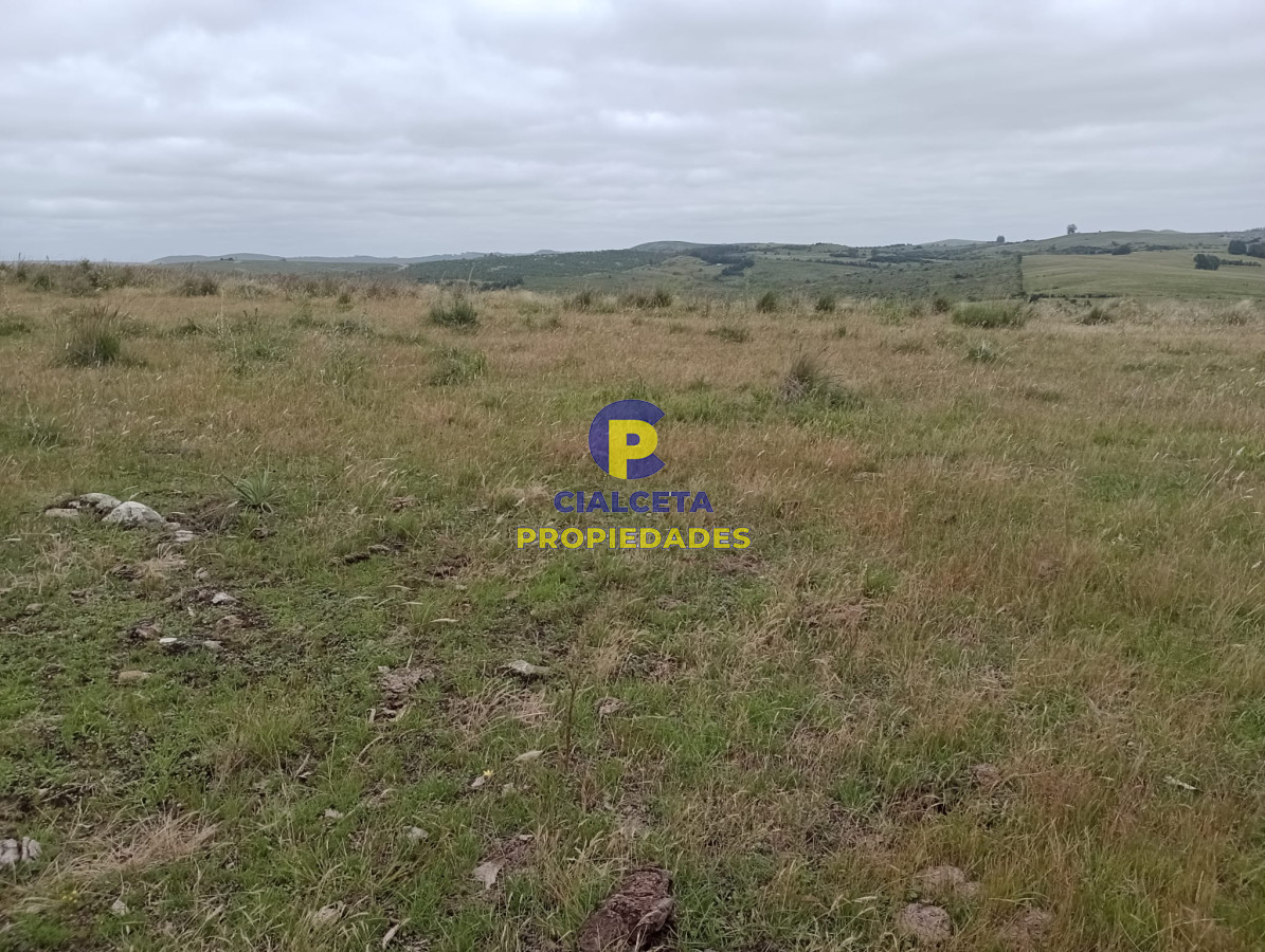 Campo Ref.372 - 95 hectáreas en Carapé