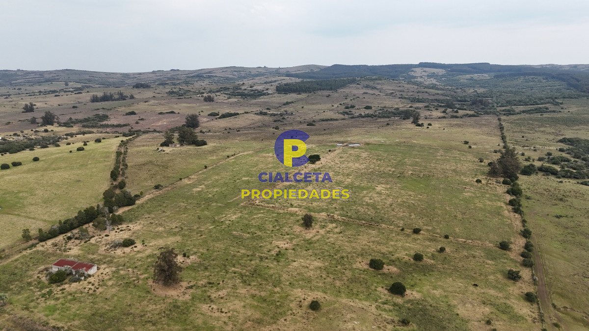 Campo Ref.490 - 267 hectáreas en Maldonado