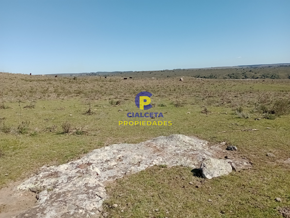 Campo Ref.136 - 811 hectáreas en Treinta y Tres