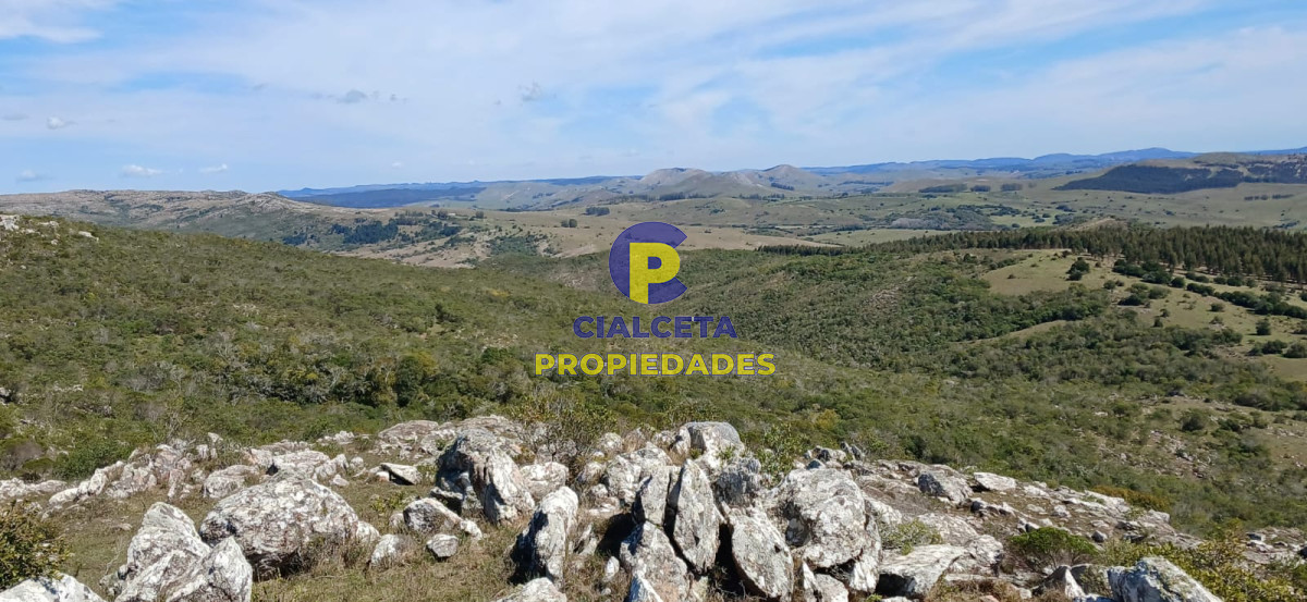 Campo Ref.541 - 268 hectáreas en Lavalleja,turístico