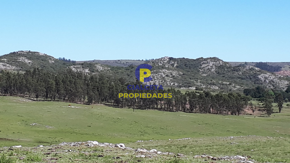 Campo Ref.322 - 100 hectáreas en Lavalleja