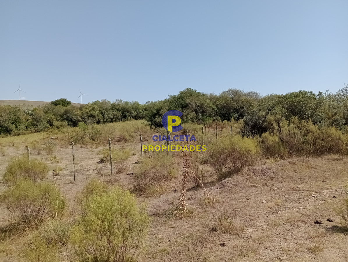 Campo Ref.421 - 86 hectáreas en Maldonado con linda vista