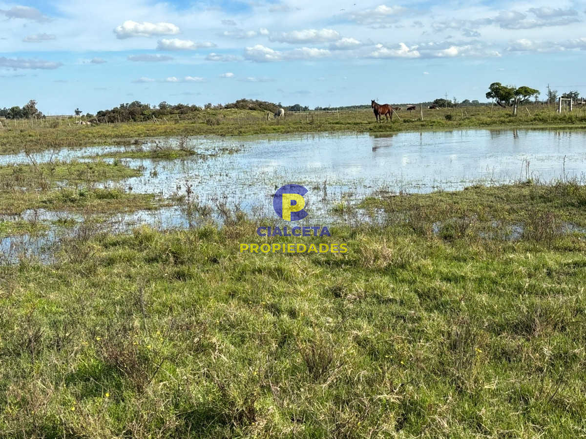 Campo Ref.437 - 15 hectáreas de buena tierra
