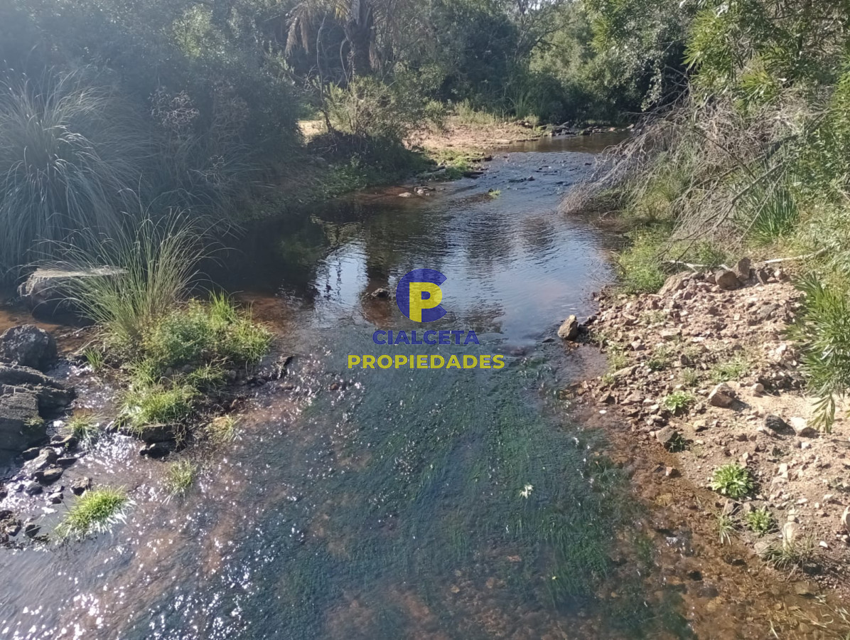 Campo Ref.228 - 39 hectáreas en Maldonado