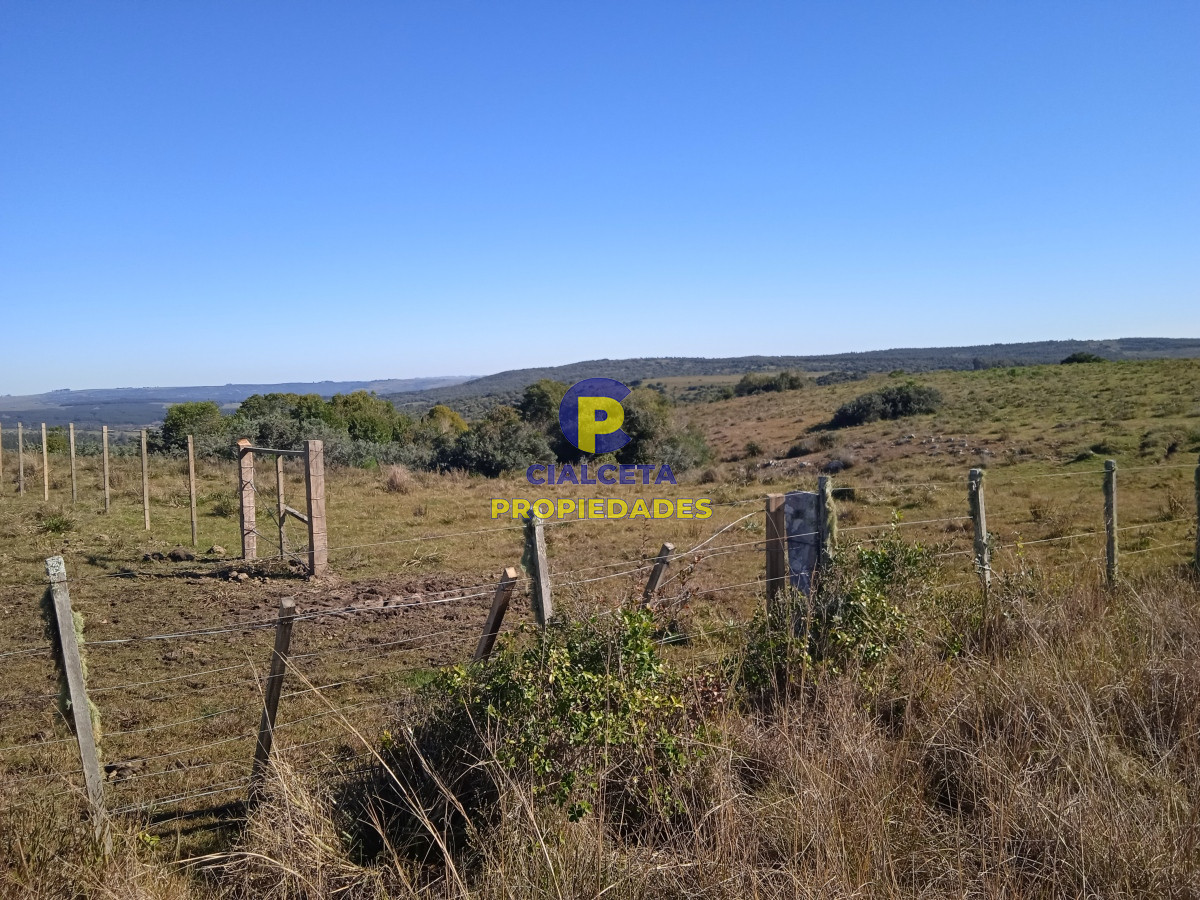 Campo Ref.283 - 273 hectáreas y media en Lavalleja