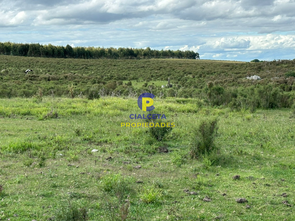 Campo Ref.413 - 23 hectáreas y media en Migues