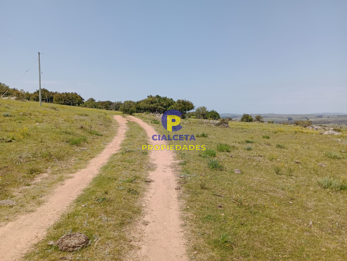 Campo Ref.316 - 32 hectáreas en Maldonado