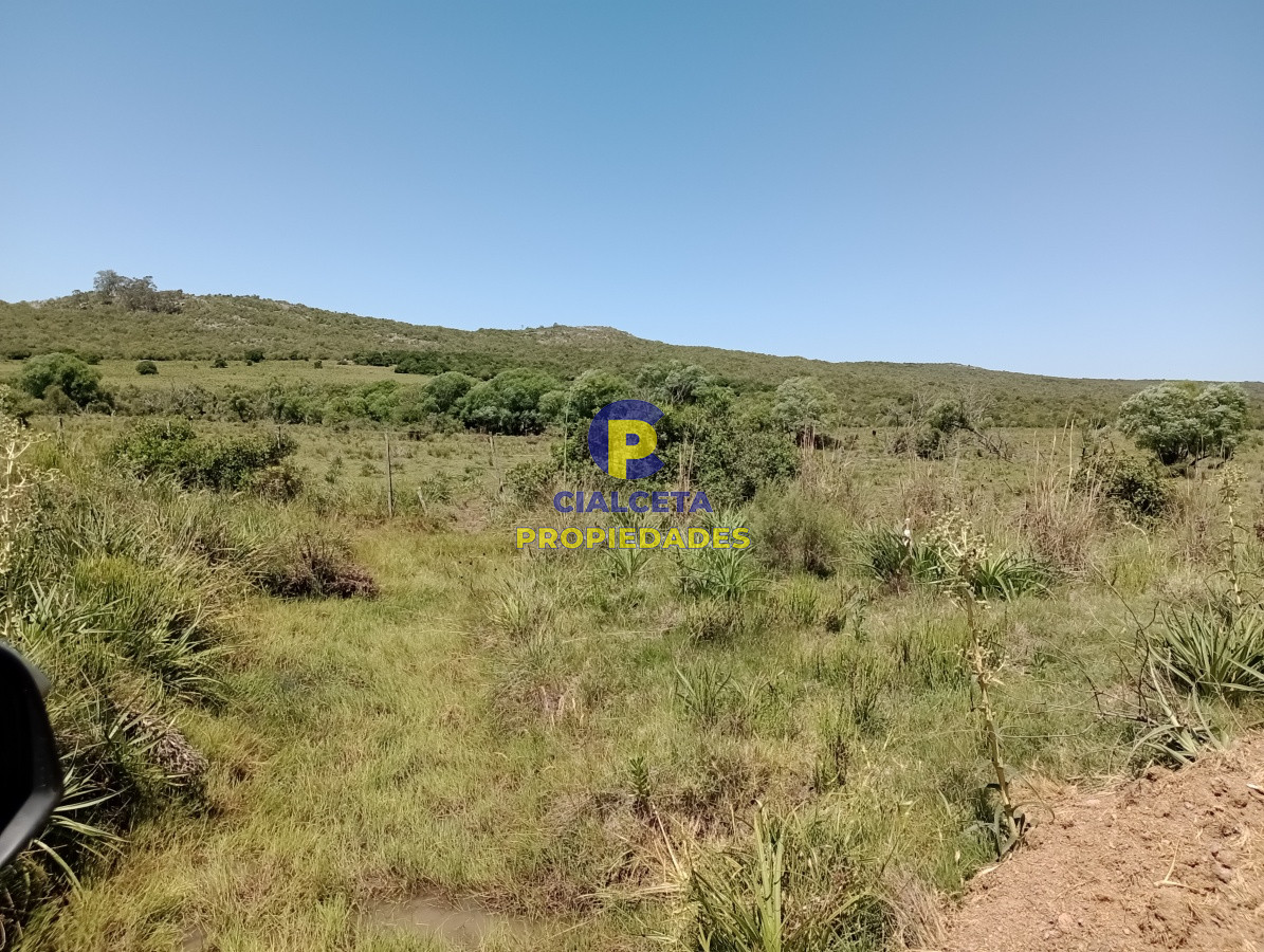 Campo Ref.77 - 419 hectáreas en Rocha
