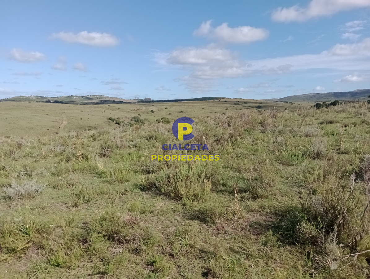 Campo Ref.141 - 490 hectáreas en Maldonado