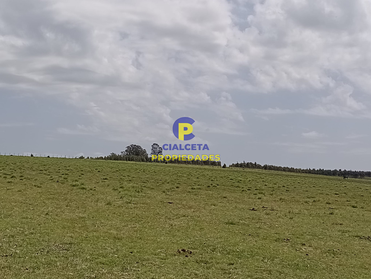 Campo Ref.315 - 28 hectáreas y media en Maldonado