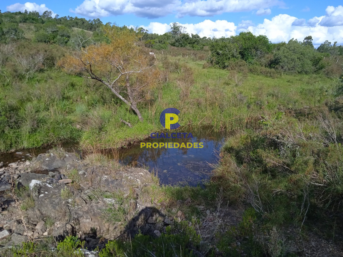 Campo Ref.74 - Propiedad única a la venta
