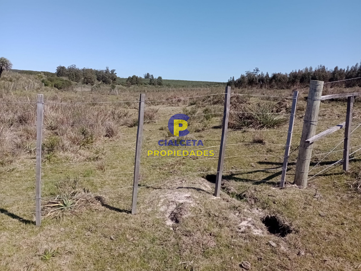 Campo Ref.307 - 16 hectáreas en Maldonado