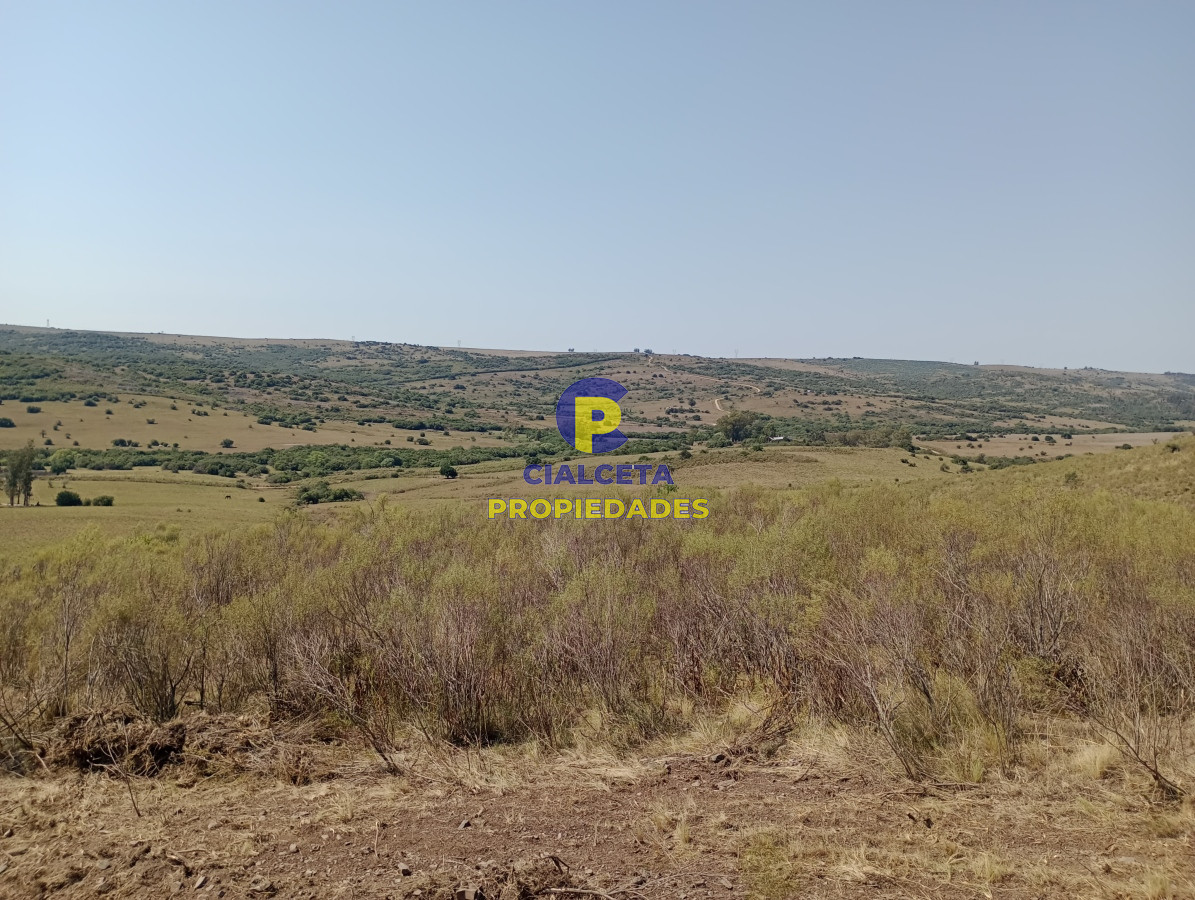 Campo Ref.421 - 86 hectáreas en Maldonado con linda vista