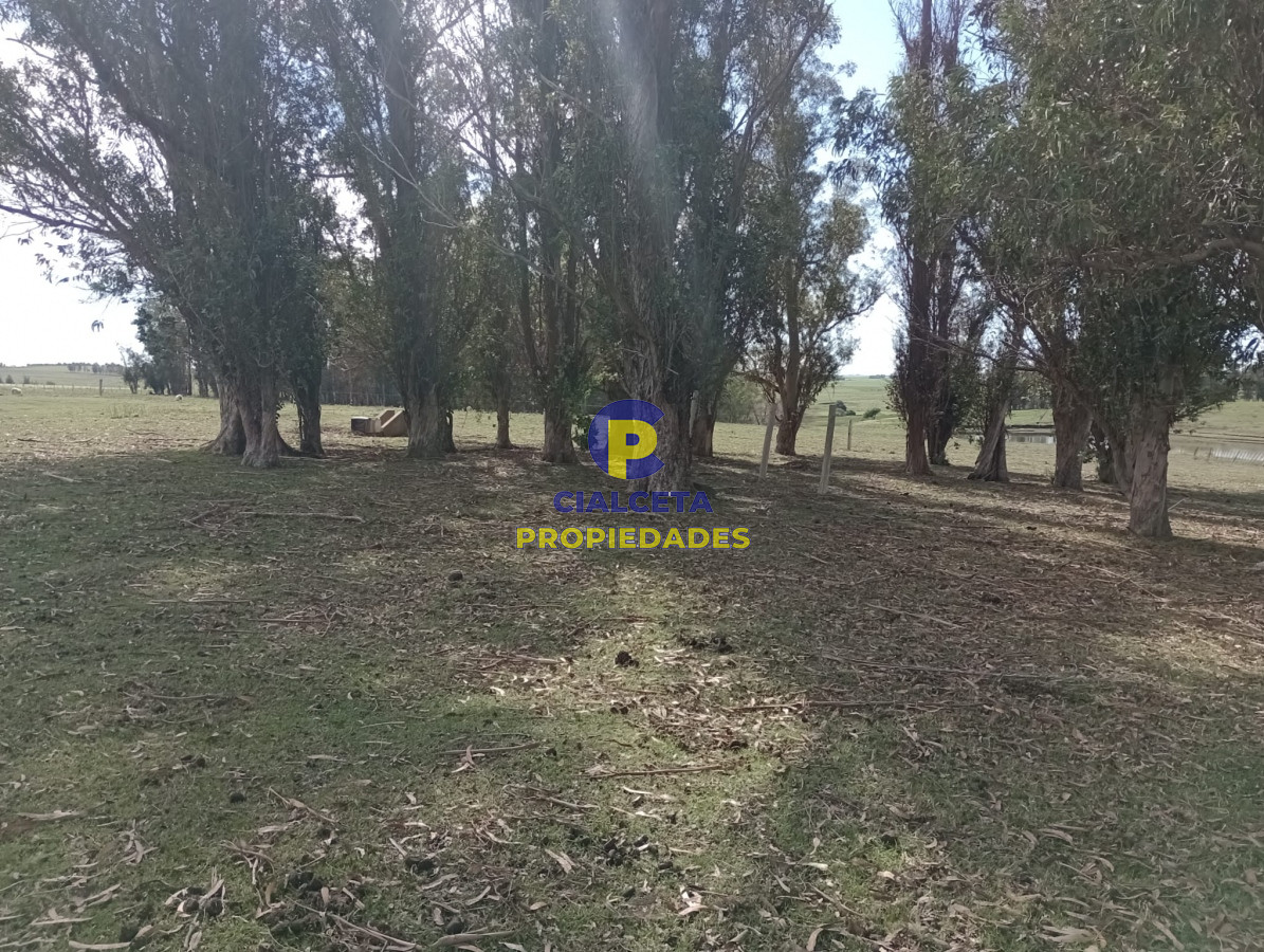 Campo Ref.295 - 22 hectáreas en lavalleja
