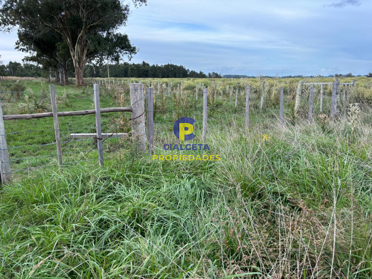 Campo Ref.418 - 50 hectáreas sobre ruta 9